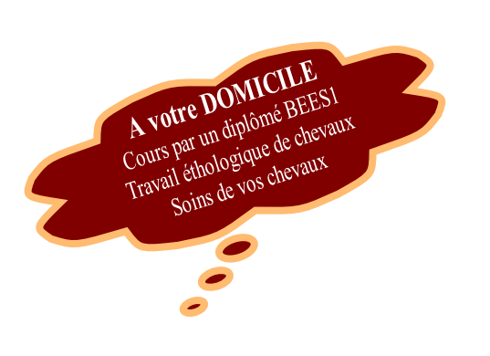 A votre DOMICILE
Cours par un diplômé BEES1
Travail éthologique de chevaux
Soins de vos chevaux